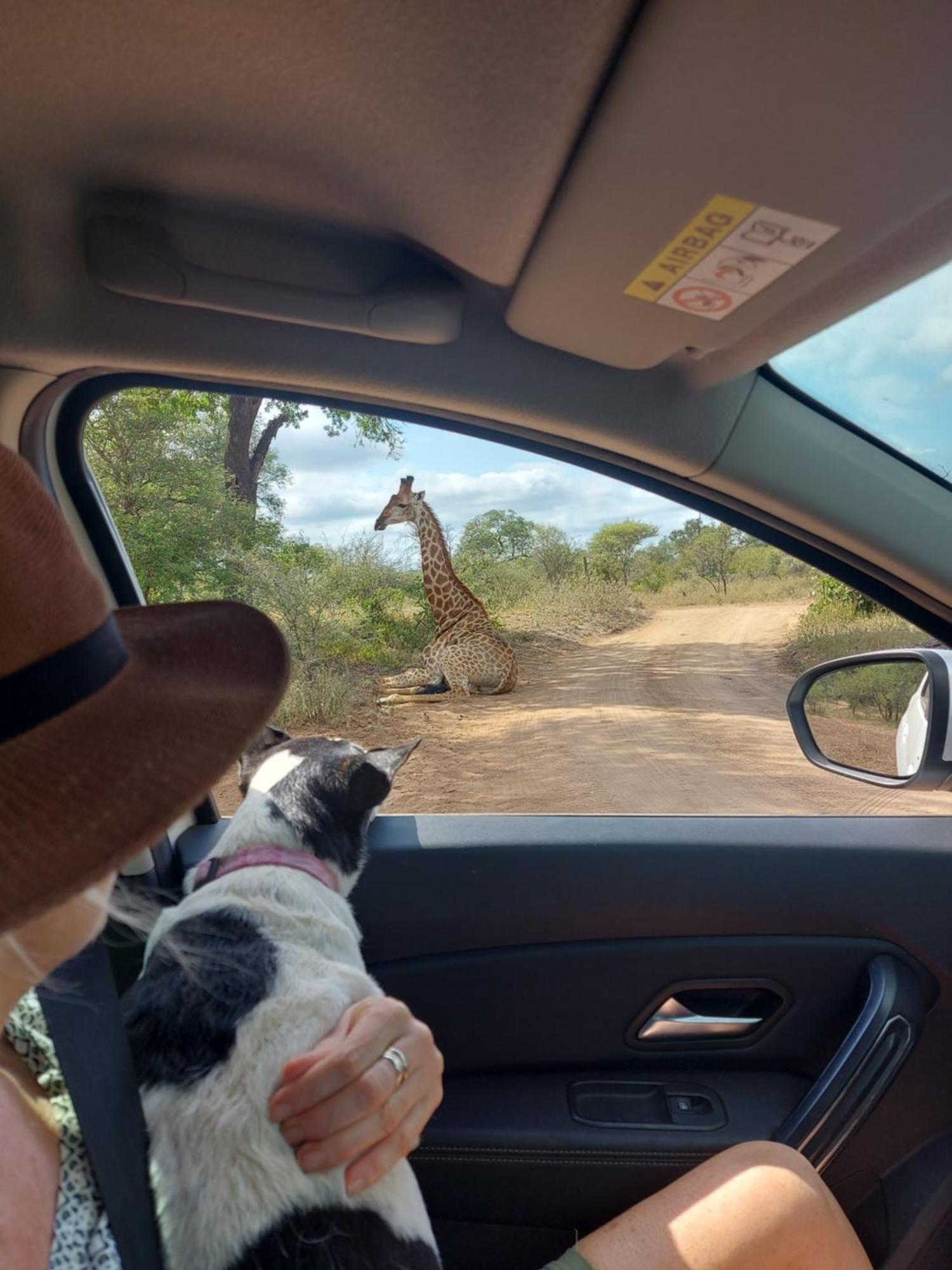 Call Of The Wild Lodge Hoedspruit Esterno foto