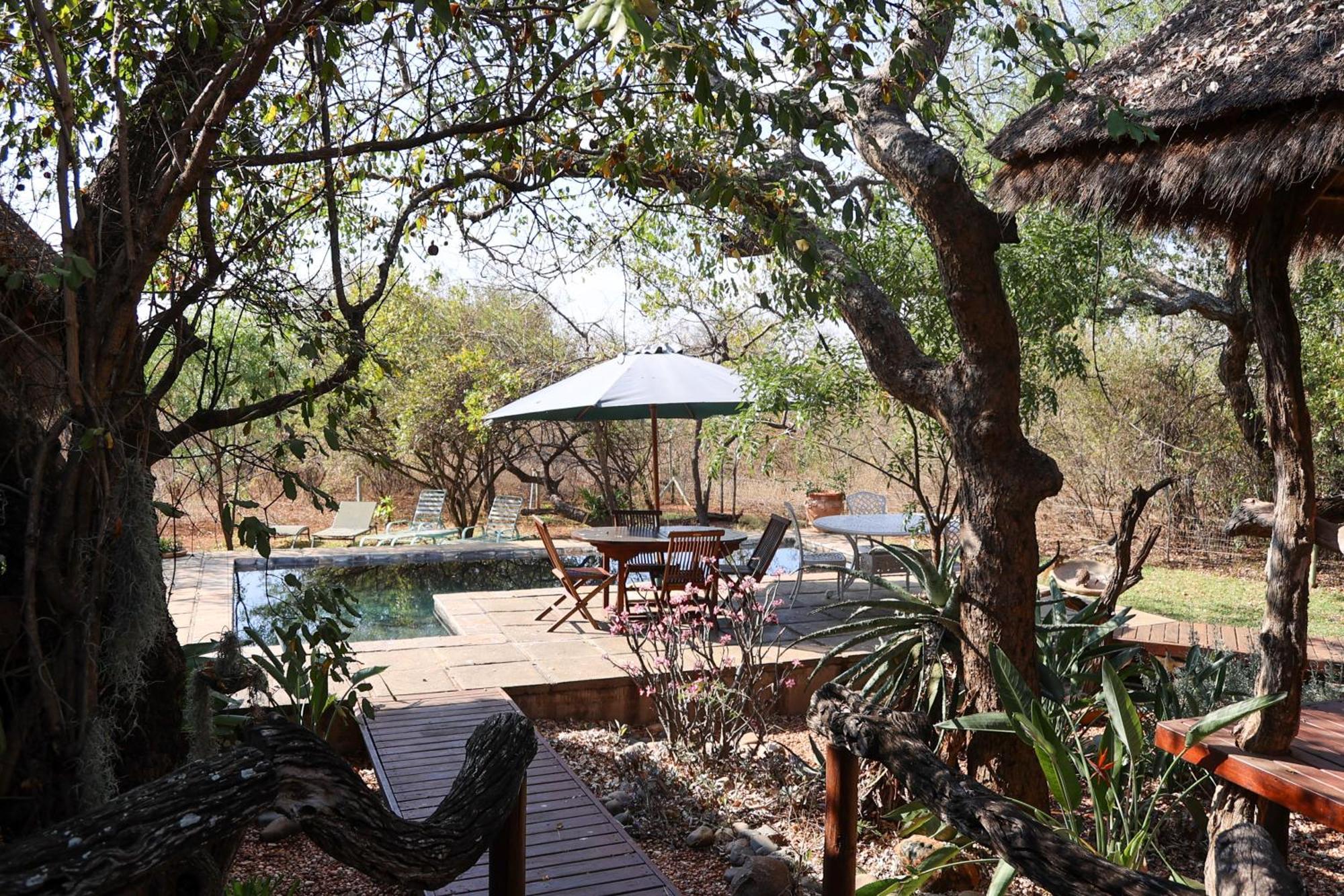 Call Of The Wild Lodge Hoedspruit Esterno foto