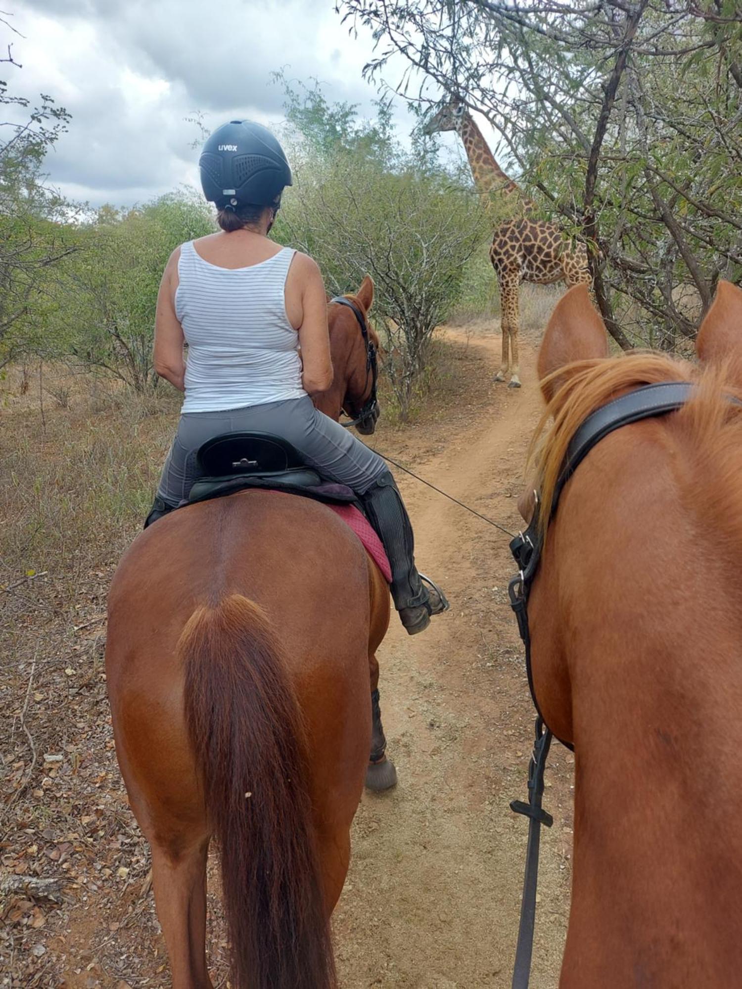 Call Of The Wild Lodge Hoedspruit Esterno foto